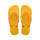 Yellow Pop