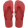 Top Red