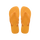 Orange Citrus