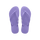 Purple Paisley