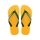 Amarillo Pop
