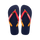 Navy/Red Ruby