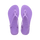 Prisma Purple