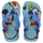 Azul/Lieno Colores