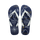 Navy Blue/White