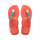 Nectar Orange