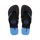 Turquoise Blue