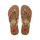 Brown/Red