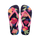 Ciber Pink