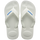 White/White/Blue