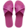 Rose Gum