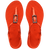 You Paraty Buckle Turtle