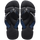 Black/Indigo Blue