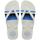 White/White