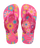 Rosa Flux/Rosa Gum