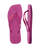 Rose Gum