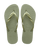 Smoke Green