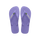 Purple Paisley