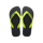 Black / Green