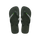 Green Olive
