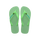 Green Garden